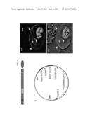 Compositions And Methods For Treatment, Research And Therapeutic     Applications For Malaria diagram and image