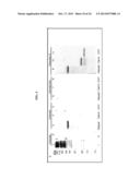 Compositions And Methods For Treatment, Research And Therapeutic     Applications For Malaria diagram and image