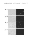 USE OF SACCHARIDES CROSS-REACTIVE WITH BACILLUS ANTHRACIS SPORE     GLYCOPROTEIN AS A VACCINE AGAINST ANTHRAX diagram and image