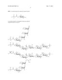 USE OF SACCHARIDES CROSS-REACTIVE WITH BACILLUS ANTHRACIS SPORE     GLYCOPROTEIN AS A VACCINE AGAINST ANTHRAX diagram and image