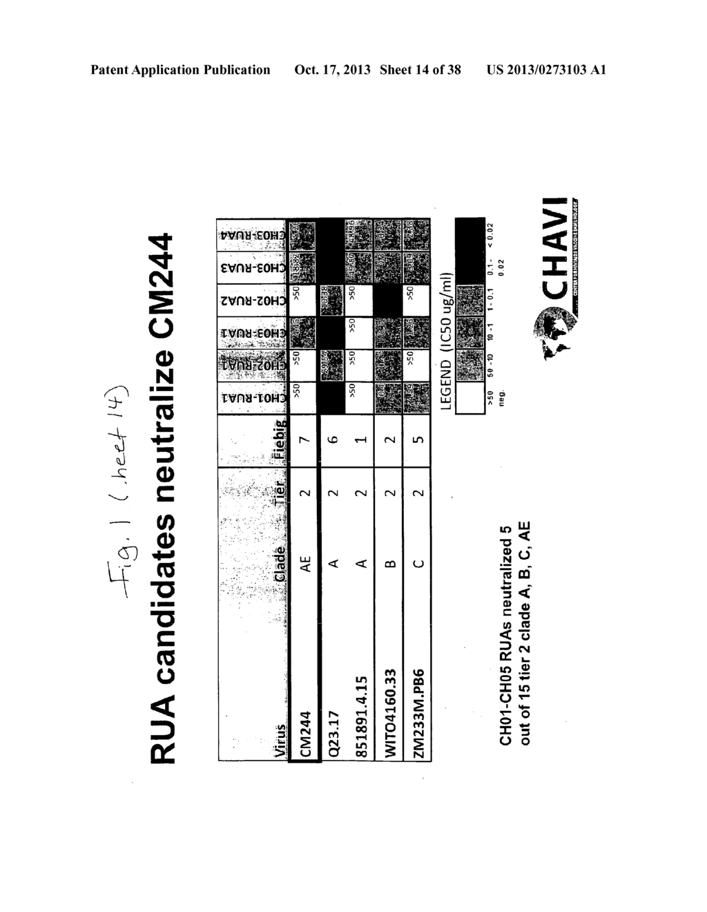 POLYVALENT IMMUNOGEN - diagram, schematic, and image 15