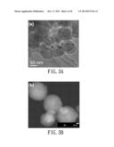 TOOTH BLEACHING CATALYTIC AND APPLICATION THEREOF diagram and image