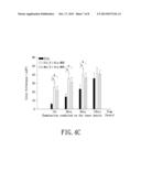 TOOTH BLEACHING CATALYTIC AND APPLICATION THEREOF diagram and image