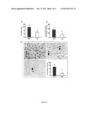 METHODS OF IMPROVING CARDIAC FUNCTION AND ATTENUATING AND/OR PREVENTING     CARDIAC REMODELING WITH HSP20 diagram and image