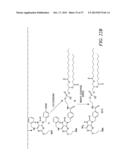 PHOSPHOLIPID DRUG ANALOGS diagram and image