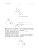 PHOSPHOLIPID DRUG ANALOGS diagram and image