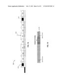 Blow Molded Thermoplastic Composition diagram and image