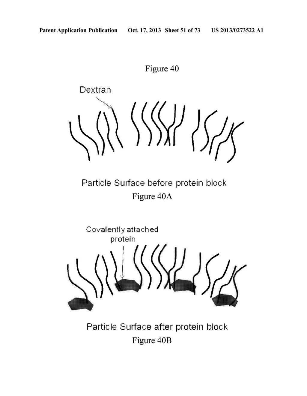 NMR SYSTEMS AND METHODS FOR THE RAPID DETECTION OF ANALYTES - diagram, schematic, and image 52