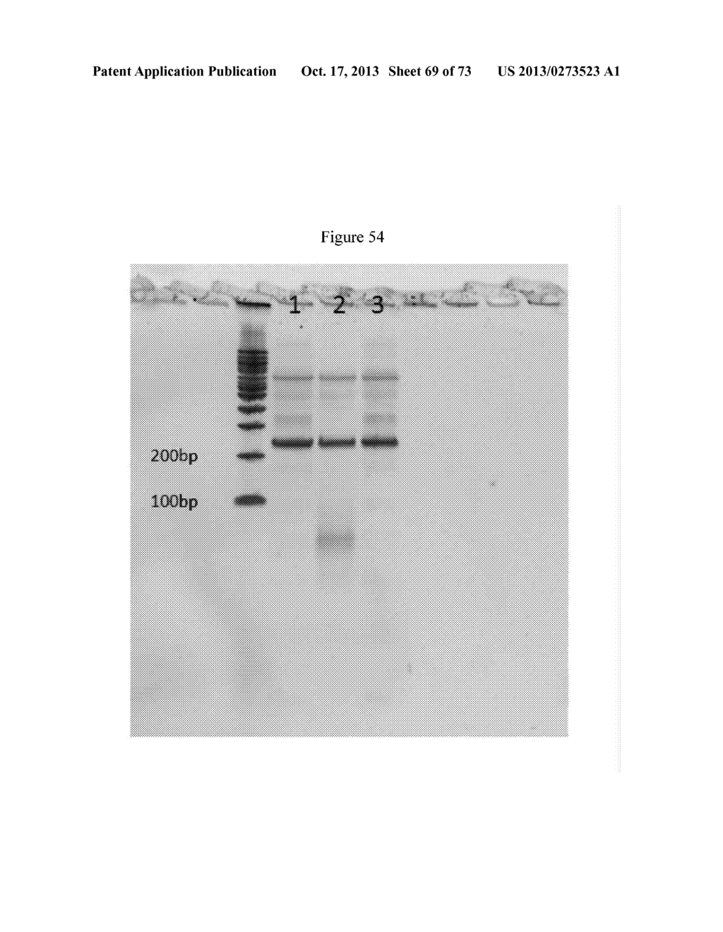 NMR SYSTEMS AND METHODS FOR THE RAPID DETECTION OF ANALYTES - diagram, schematic, and image 70