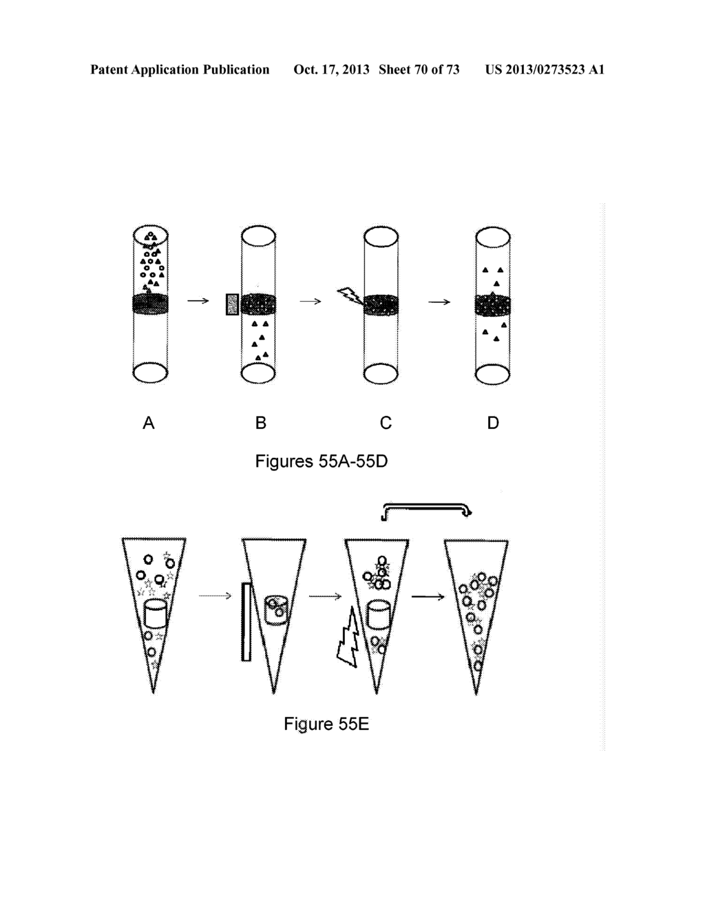 NMR SYSTEMS AND METHODS FOR THE RAPID DETECTION OF ANALYTES - diagram, schematic, and image 71