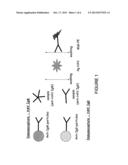 MULTIPLEX METHOD FOR DETECTING AN INFECTION diagram and image