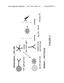 MULTIPLEX METHOD FOR DETECTING AN INFECTION diagram and image