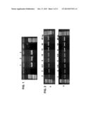 AMBIENT TEMPERATURE STABLE KITS FOR MOLECULAR DIAGNOSTICS diagram and image