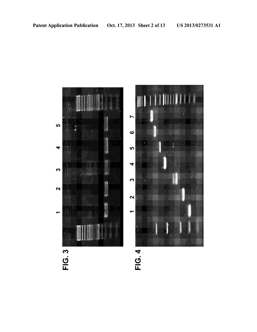 AMBIENT TEMPERATURE STABLE KITS FOR MOLECULAR DIAGNOSTICS - diagram, schematic, and image 03