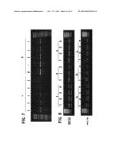 AMBIENT TEMPERATURE STABLE KITS FOR MOLECULAR DIAGNOSTICS diagram and image