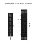 AMBIENT TEMPERATURE STABLE KITS FOR MOLECULAR DIAGNOSTICS diagram and image