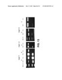 AMBIENT TEMPERATURE STABLE KITS FOR MOLECULAR DIAGNOSTICS diagram and image