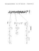 MOLECULAR FLUX RATES THROUGH CRITICAL PATHWAYS MEASURED BY STABLE ISOTOPE     LABELING IN VIVO, AS BIOMARKERS OF DRUG ACTION AND DISEASE ACTIVITY diagram and image