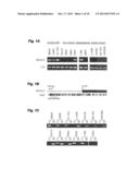 SOCS-3 PROMOTER METHYLATION IN CANCER diagram and image