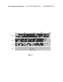 SOCS-3 PROMOTER METHYLATION IN CANCER diagram and image