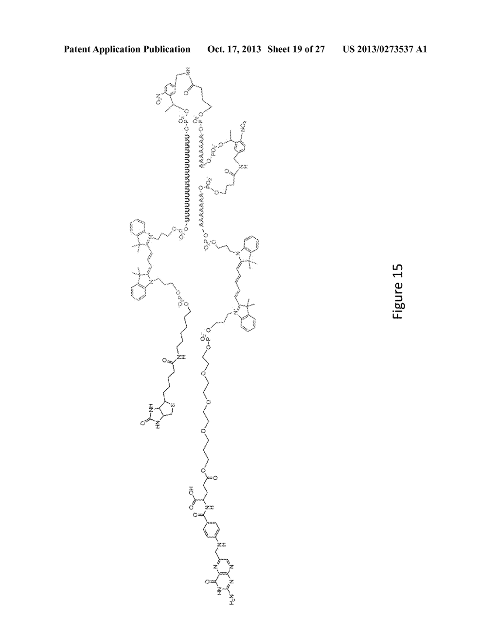 Transcriptome In Vivo Analysis - diagram, schematic, and image 20