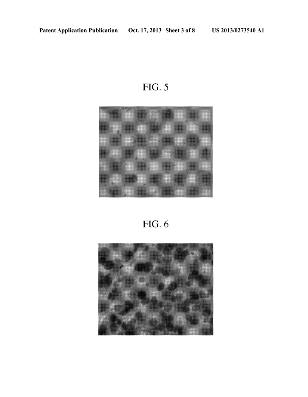 METHOD FOR CHROMOGENIC DETECTION OF TWO OR MORE TARGET MOLECULES IN A     SINGLE SAMPLE - diagram, schematic, and image 04