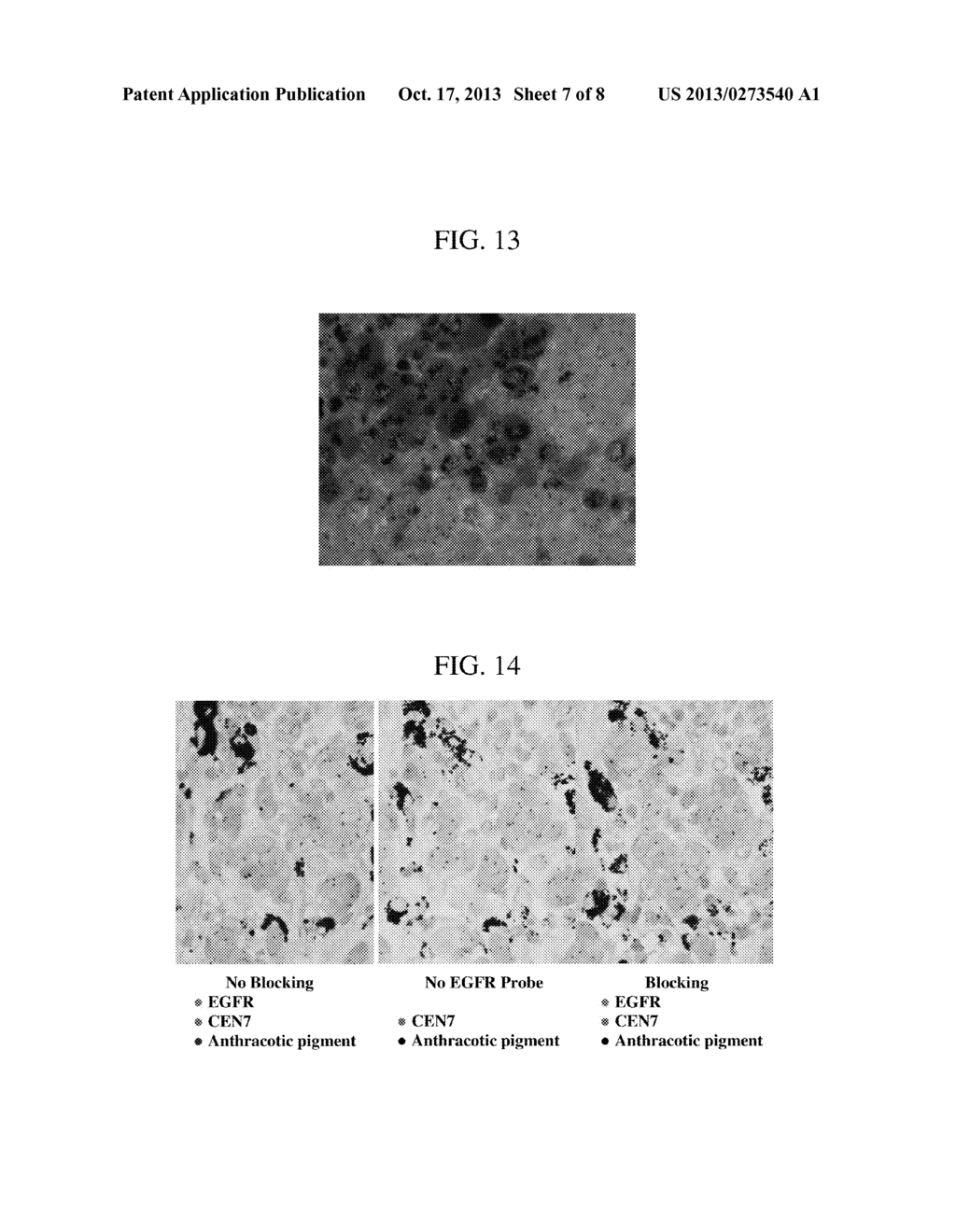 METHOD FOR CHROMOGENIC DETECTION OF TWO OR MORE TARGET MOLECULES IN A     SINGLE SAMPLE - diagram, schematic, and image 08
