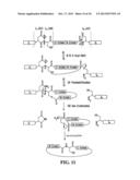 STABILIZATION OF CYCLIC PEPTIDE STRUCTURES diagram and image