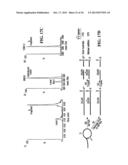 STABILIZATION OF CYCLIC PEPTIDE STRUCTURES diagram and image