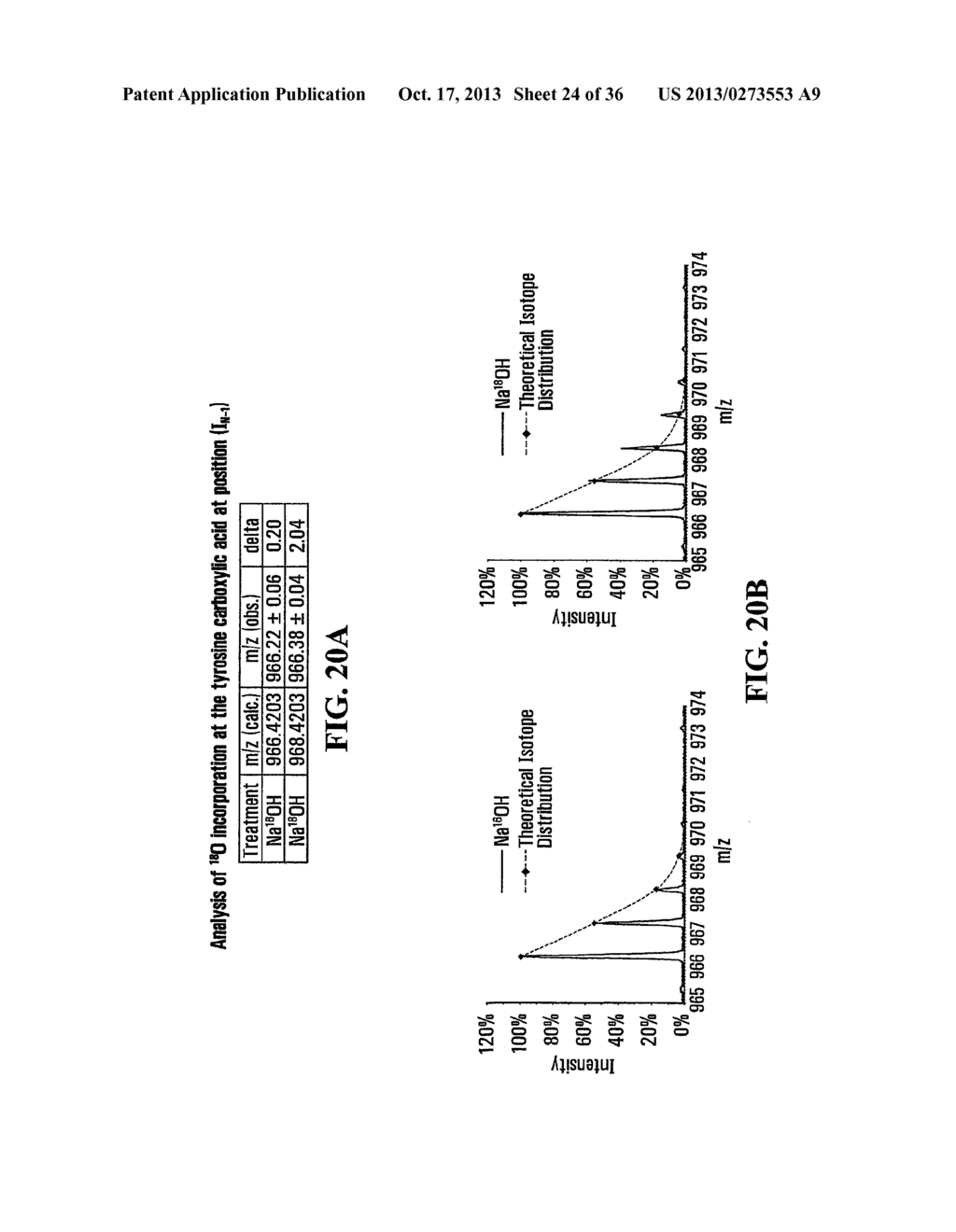 STABILIZATION OF CYCLIC PEPTIDE STRUCTURES - diagram, schematic, and image 25