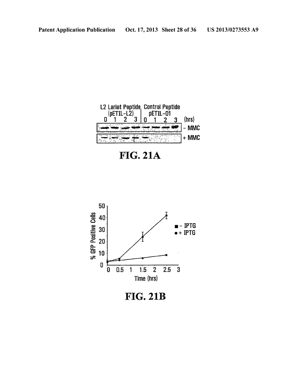 STABILIZATION OF CYCLIC PEPTIDE STRUCTURES - diagram, schematic, and image 29