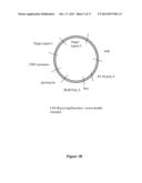 MODULATION OF GENE EXPRESSION BY LOCKED NUCLEIC ACIDS diagram and image