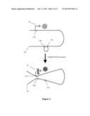 MODULATION OF GENE EXPRESSION BY LOCKED NUCLEIC ACIDS diagram and image