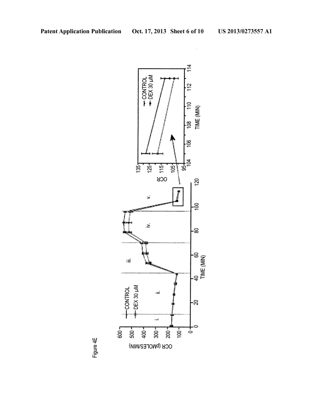 COMPOUNDS AND METHODS OF MODULATING MITOCHONDRIAL BIOENERGETIC EFFICIENCY     THROUGH AN INTERACTION WITH ATP SYNTHASE (COMPLEX V) AND ITS SUBUNITS - diagram, schematic, and image 07