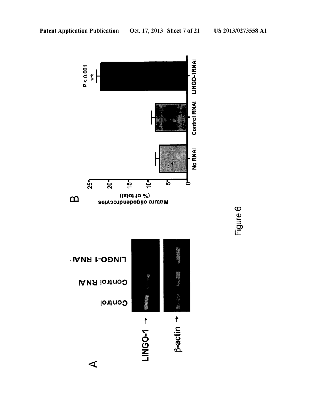 Treatment of Conditions Involving Demyelination - diagram, schematic, and image 08