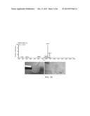 ANALYZING A METABOLITE LEVEL IN A SAMPLE diagram and image