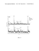 ANALYZING A METABOLITE LEVEL IN A SAMPLE diagram and image