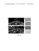 ANALYZING A METABOLITE LEVEL IN A SAMPLE diagram and image