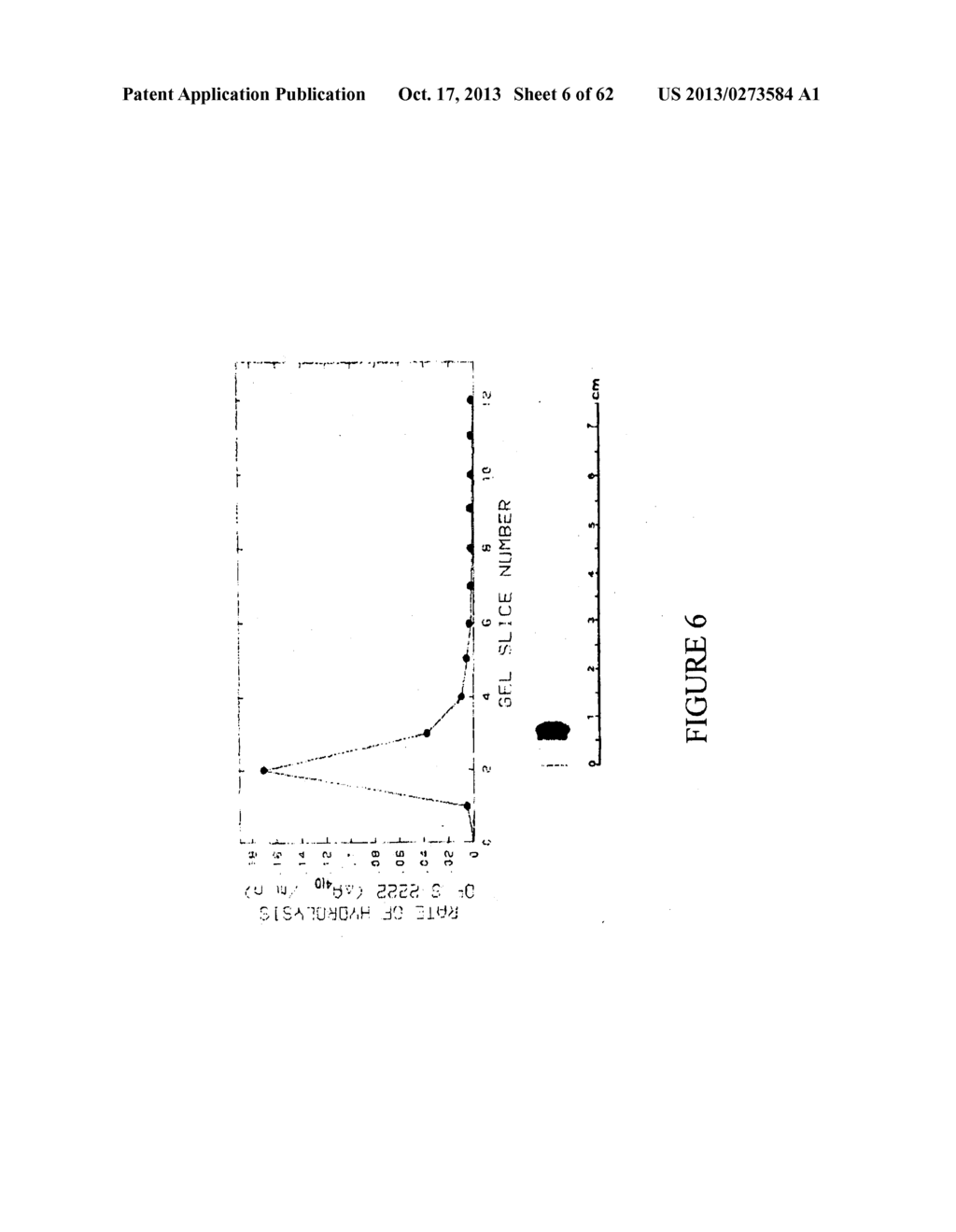 SERUM PREPARATION - diagram, schematic, and image 07