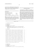 SOLUBLE CYTOPLASMIC EXPRESSION OF HETEROLOGOUS PROTEINS IN ESCHERICHIA     COLI diagram and image