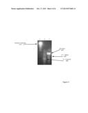 Stain for Microscopic Tissue Sections diagram and image