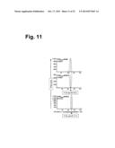 Antigen-Specific T Cell Receptors and T Cell Epitopes diagram and image