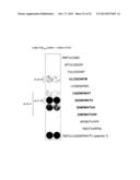 Antigen-Specific T Cell Receptors and T Cell Epitopes diagram and image