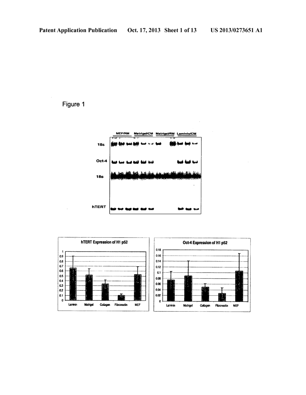 DIFFERENTIATED CELLS SUITABLE FOR HUMAN THERAPY - diagram, schematic, and image 02