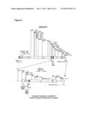 DIFFERENTIATED CELLS SUITABLE FOR HUMAN THERAPY diagram and image