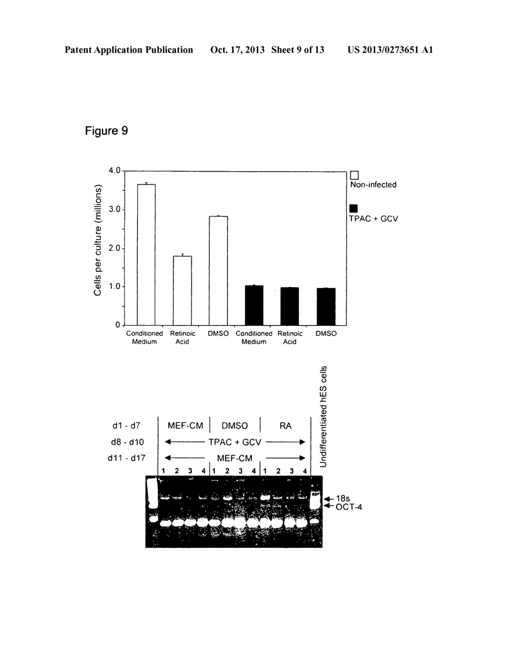 DIFFERENTIATED CELLS SUITABLE FOR HUMAN THERAPY - diagram, schematic, and image 10