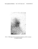 NANOPARTICLES OF CERIUM AND AMINO ACIDS diagram and image