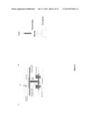 ISFET SWITCH diagram and image