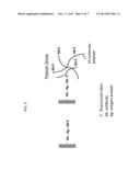 WIDE RANGE LUMINESCENT IMMUNOASSAYS diagram and image