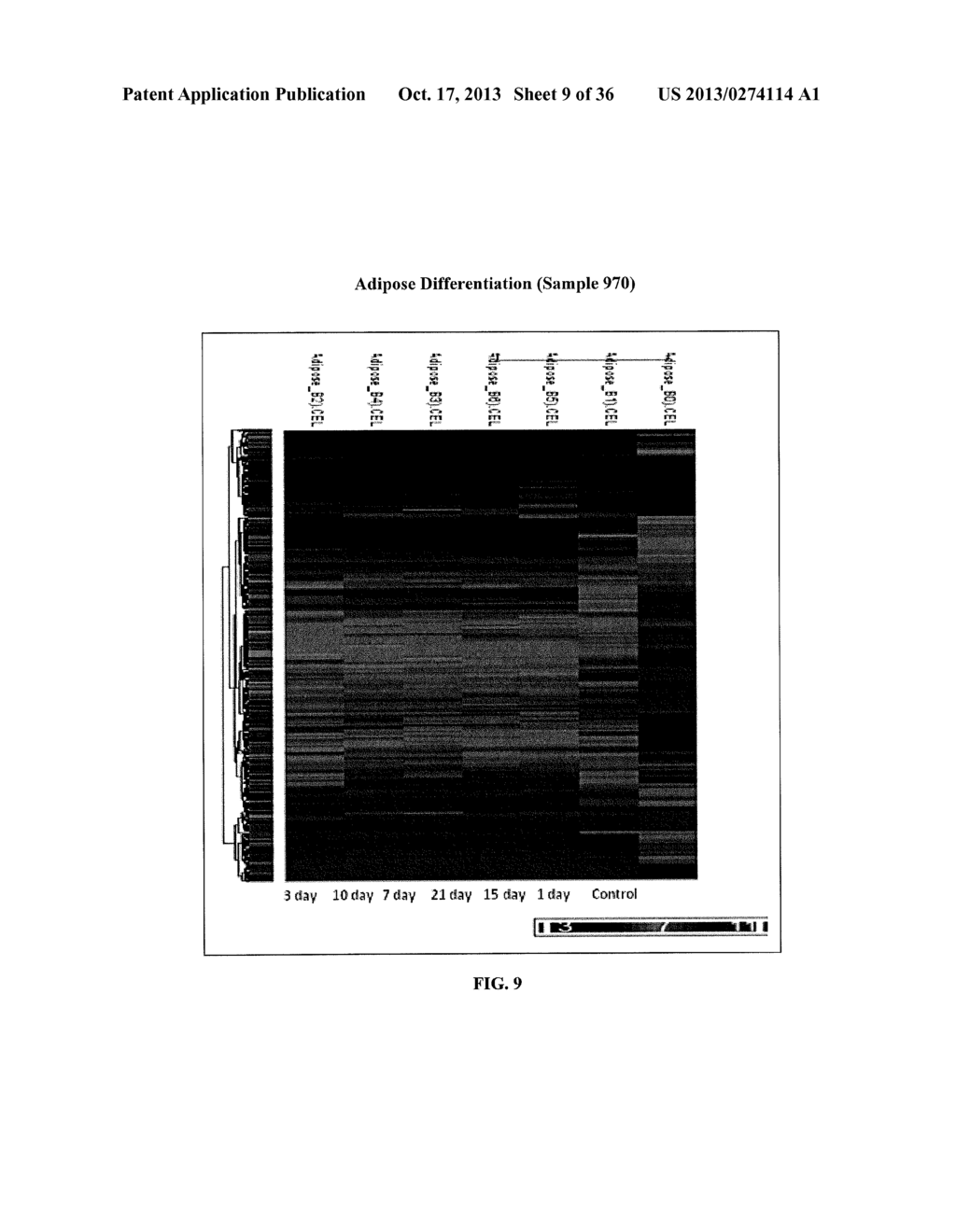 MULTIPOTENT STEM CELL-BASED CULTURE SYSTEMS AND MODELS - diagram, schematic, and image 10